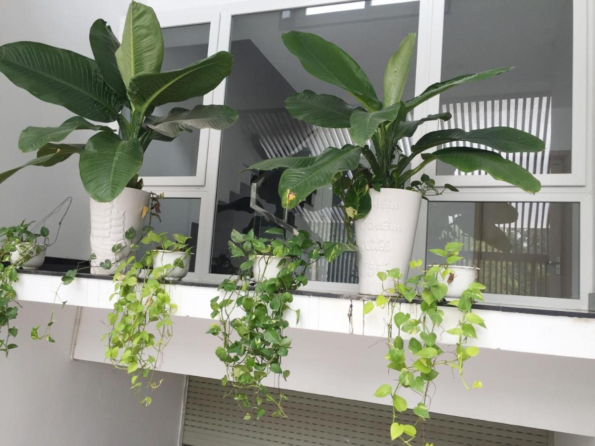 M-H Serviced Apartment Ho Chi Minh-byen Eksteriør bilde